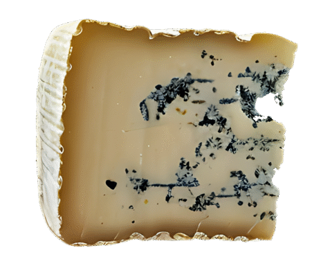 Parmigiano